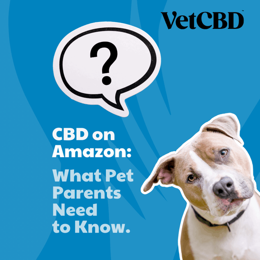 CBD on Amazon: What Pet Parents Need to Know