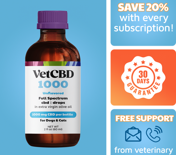 Full-Spectrum CBD Tincture for Dogs & Cats