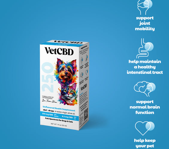 Full-Spectrum CBD Tincture for Dogs & Cats
