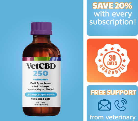 Full-Spectrum CBD Tincture for Dogs & Cats