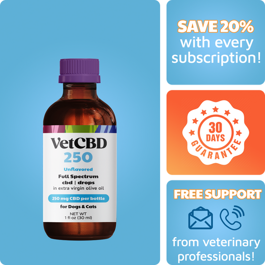Full-Spectrum CBD Tincture for Dogs & Cats