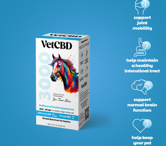 Broad-Spectrum 3000mg CBD Tincture for Equine