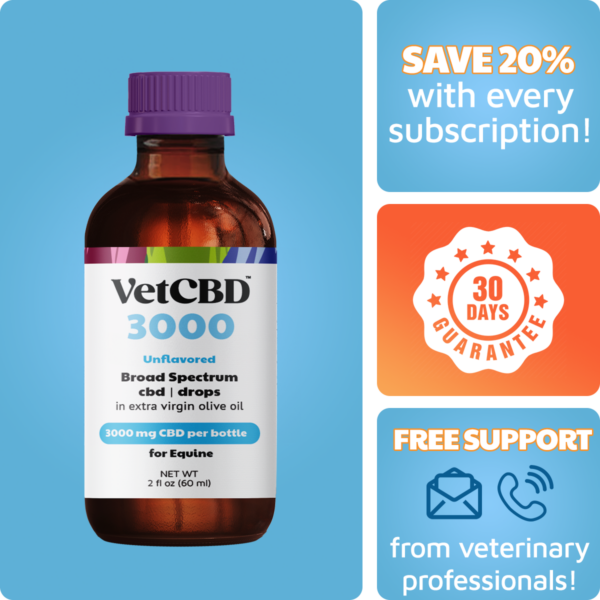 Broad-Spectrum 3000mg CBD Tincture for Equine