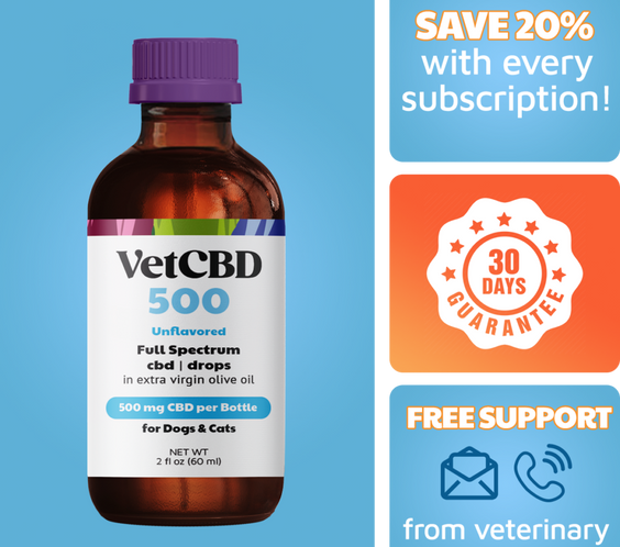 Full-Spectrum CBD Tincture for Dogs & Cats
