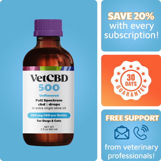 Full-Spectrum CBD Tincture for Dogs & Cats
