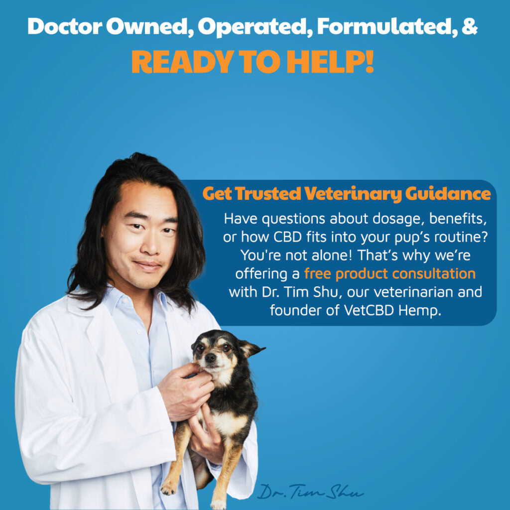 CBD Calming Chews for Dogs