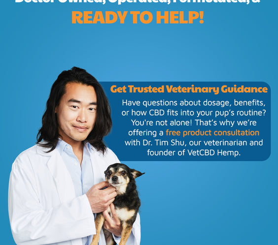 CBD Calming Chews for Dogs